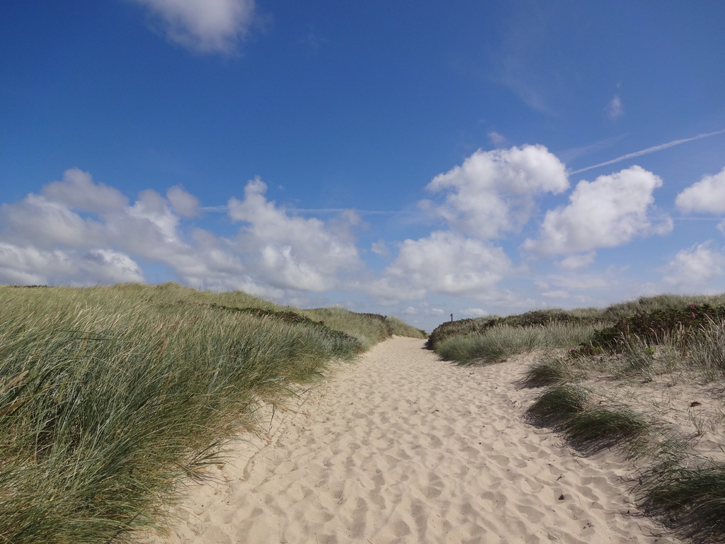 Sandweg durch grüne Dünen