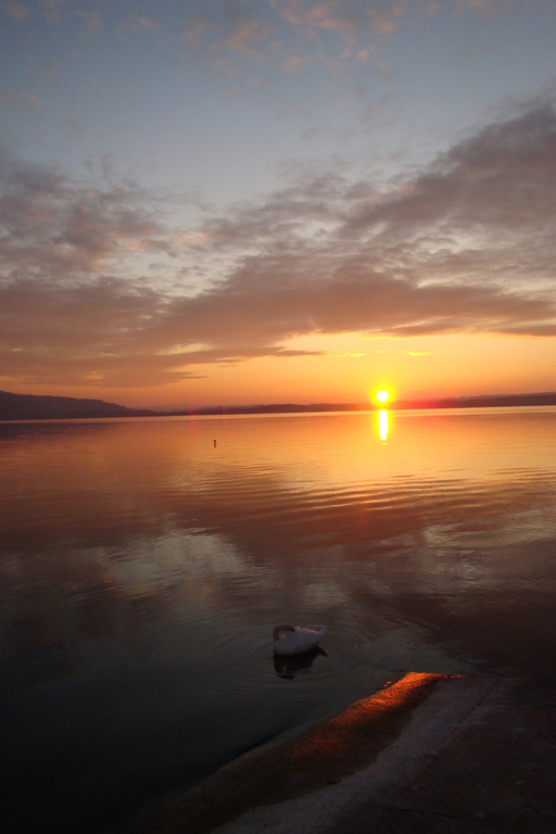 Sonnenuntergang über ruhigem Wasser