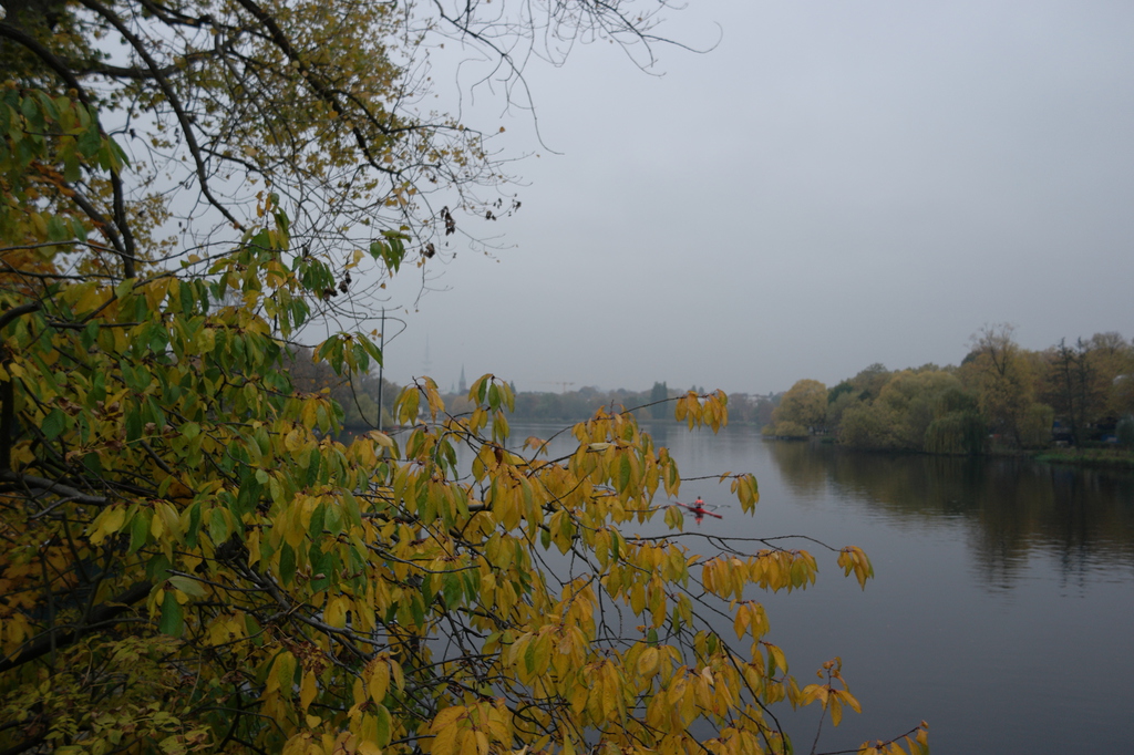 Herbstliche Blätter am Fluss